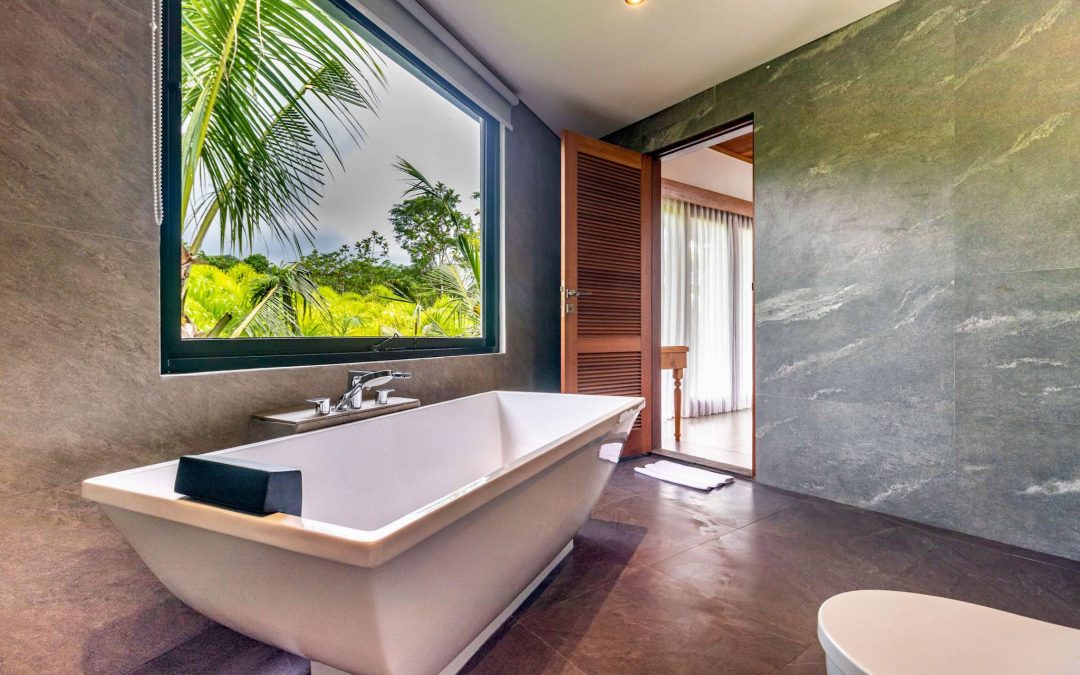 Jungle Suite